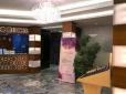 Romance Hotel image 1